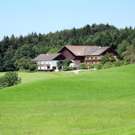 Apartment Bauernhof Vorderroid - Mon400 Oberhofen am Irrsee エクステリア 写真