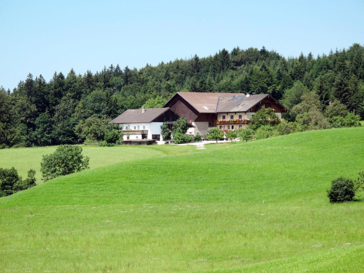 Apartment Bauernhof Vorderroid - Mon400 Oberhofen am Irrsee エクステリア 写真